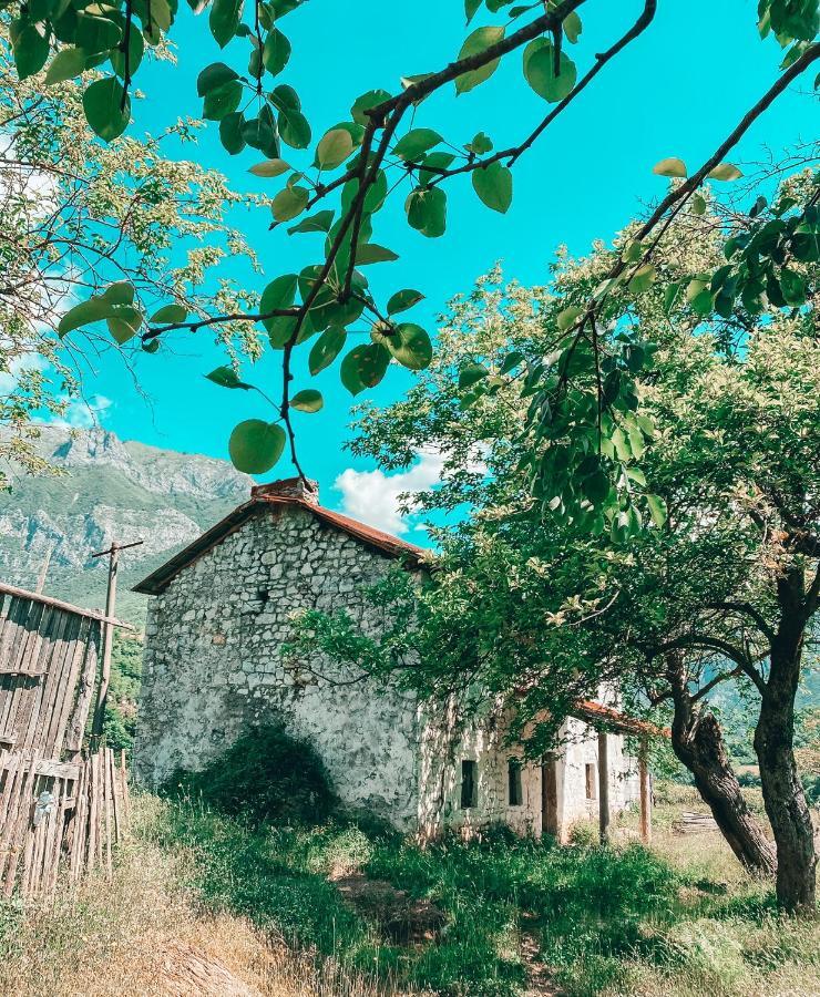 Lekbibaj Te Baca Qerim 아파트 외부 사진